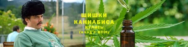 PSILOCYBIN Кукмор