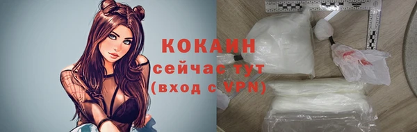 PSILOCYBIN Кукмор