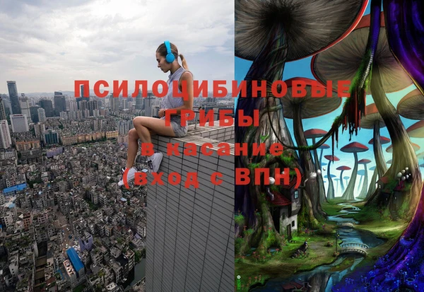 PSILOCYBIN Кукмор