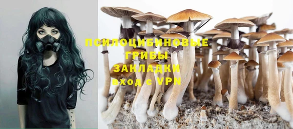 PSILOCYBIN Кукмор