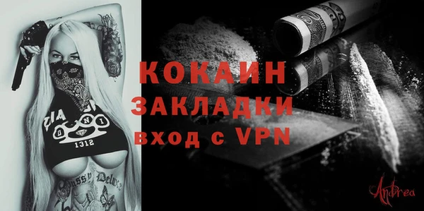 PSILOCYBIN Кукмор