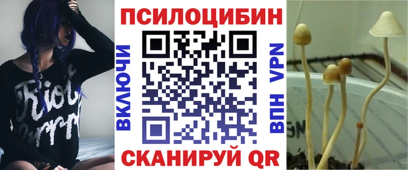 где купить наркотик  Медвежьегорск  Галлюциногенные грибы MAGIC MUSHROOMS 