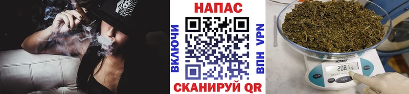 Бошки марихуана сатива  Медвежьегорск 